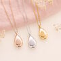 Pet Memorial Teardrop Ashes Necklace, thumbnail 1 of 3