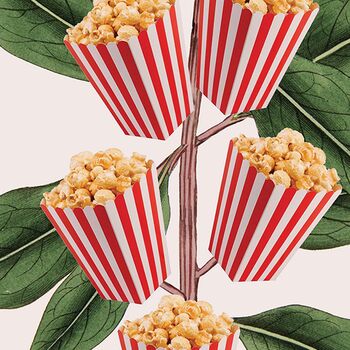 Popcorn Movie Poster Botanical Print, 8 of 11