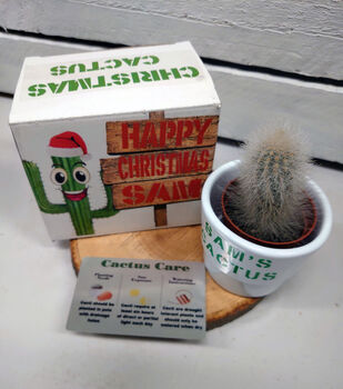 Personalised Cactus, 7 of 10