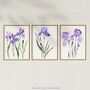 Set Three Wall Art Prints Iris Floral Flowers Purple, thumbnail 5 of 7