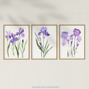 Set Three Wall Art Prints Iris Floral Flowers Purple, 5 of 7