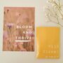 Bloom And Thrive Wildflower Seed Gift Set, thumbnail 4 of 5
