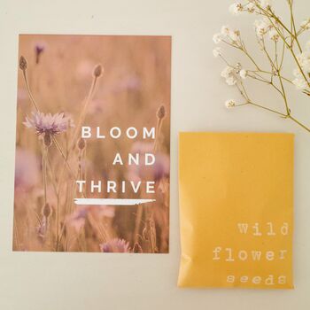 Bloom And Thrive Wildflower Seed Gift Set, 4 of 5