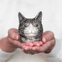 Cat Egg Cup, thumbnail 8 of 8