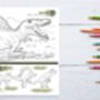 Dinosaur Colour In Activity Craft Set, thumbnail 5 of 11
