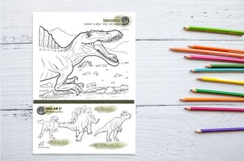 Dinosaur Colour In Activity Craft Set, 5 of 11