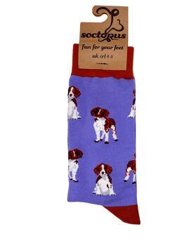 Spaniel Socks, 3 of 3
