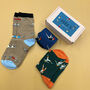 Personalised Women's Workout Three Pairs Socks In A Box, thumbnail 4 of 8