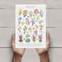 Wild Meadow Floral Art Print In Two Sizes, thumbnail 3 of 3