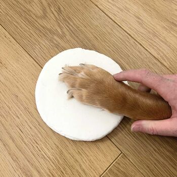 Clay Pet Paw Impression Moulding Kit, 2 of 3