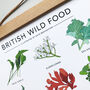 'British Wild Food' Print, thumbnail 3 of 4