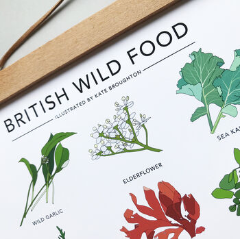 'British Wild Food' Print, 3 of 4
