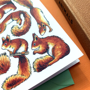 Red Squirrels Watercolour Greeting Card, 6 of 8