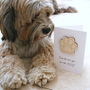 The One Who Loves You Most Dog Or Cat Birthday Card, thumbnail 1 of 9