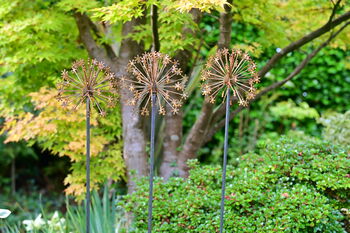 Rusty Metal Allium Garden Ornament, 7 of 7