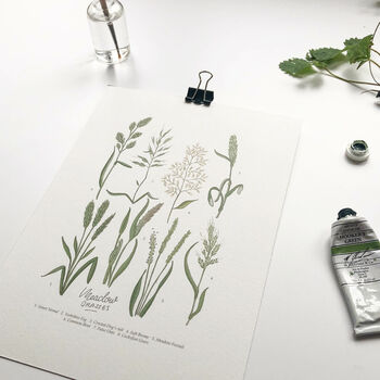 Set Of Two Wildflower And Meadow Grass Charts Prints, 3 of 3