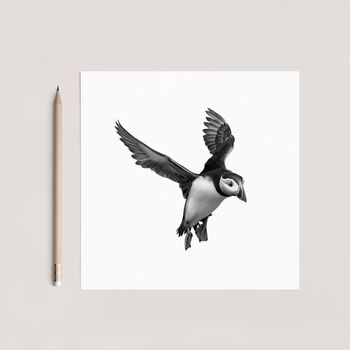 Landing Flying Puffin Wildlife Card, 3 of 6