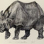 J Is For Javan Rhino Illustration Print, thumbnail 3 of 7
