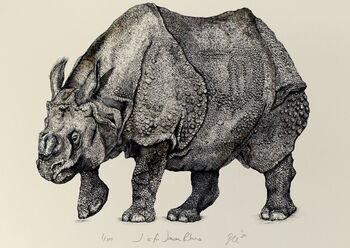 J Is For Javan Rhino Illustration Print, 3 of 7