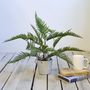 Faux Green Bracken Fern Plant Small Or Large, thumbnail 3 of 7
