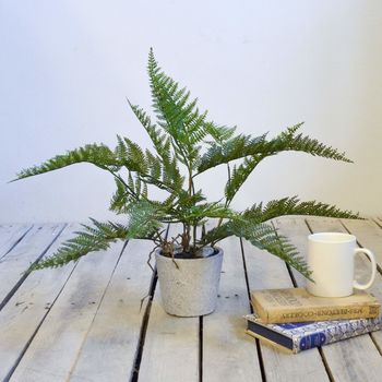 Faux Green Bracken Fern Plant Small Or Large, 3 of 7