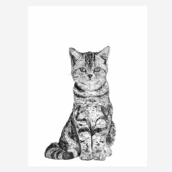 Tabby Cat Portrait Print, 2 of 3