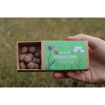 Wildflower Seedball For Bees And Butterflies 2x Boxes, 6 of 10