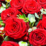 50 Red Roses Fresh Flower Bouquet Romantic Gift, thumbnail 4 of 7