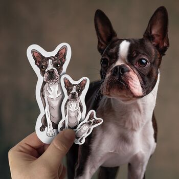 Personalised Pet Portrait Full Body Magnet, 7 of 10