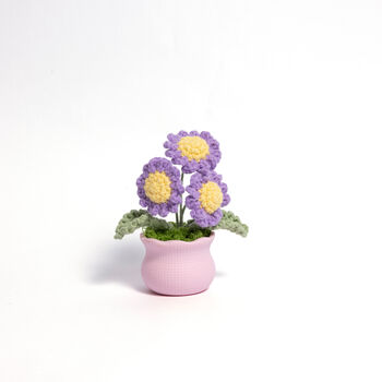 Joyful Daisy And Tulip Crochet Plant Pot Collection, 4 of 7