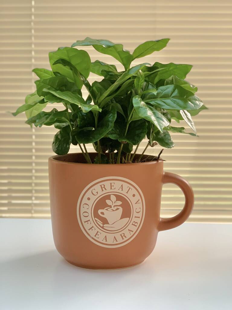 Giant Coffee Cup Planter 22 Adorable Diy Coffee Mug Planter Ideas