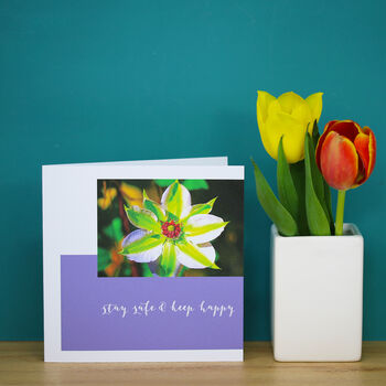 Personalised Water Lily Flower Card, 6 of 8