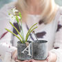 Personalised Metal Double Planter, thumbnail 1 of 2