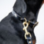 Personalised Luxury Leather Dog Collar, thumbnail 2 of 12