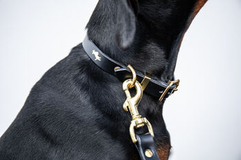Personalised Luxury Leather Dog Collar, 2 of 12