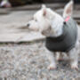 Westie Polartec Water Resistant Dog Coat, thumbnail 3 of 5
