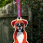 Boxer Dog Hanging Wooden Christmas Decoration, thumbnail 5 of 6
