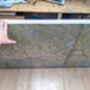 The Mother Tree, thumbnail 10 of 10