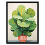 Full Bodied Fiddle Leaf Fig Plant Lovers Wall Art Print, thumbnail 5 of 6