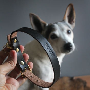 Personalised Leather Dog Collar, 4 of 10