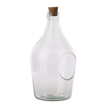 Three Litre Clear Glass Terrarium Bottle Indoor Planter, 3 of 4