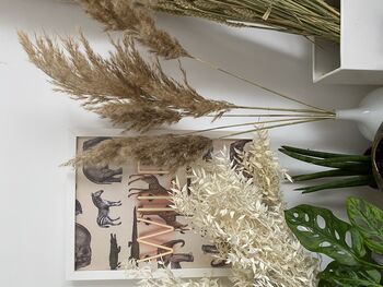 Dried Natural Pampas Grass Bunch, 2 of 6