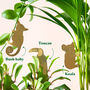 Plant Animal Houseplant Decorations, thumbnail 3 of 9