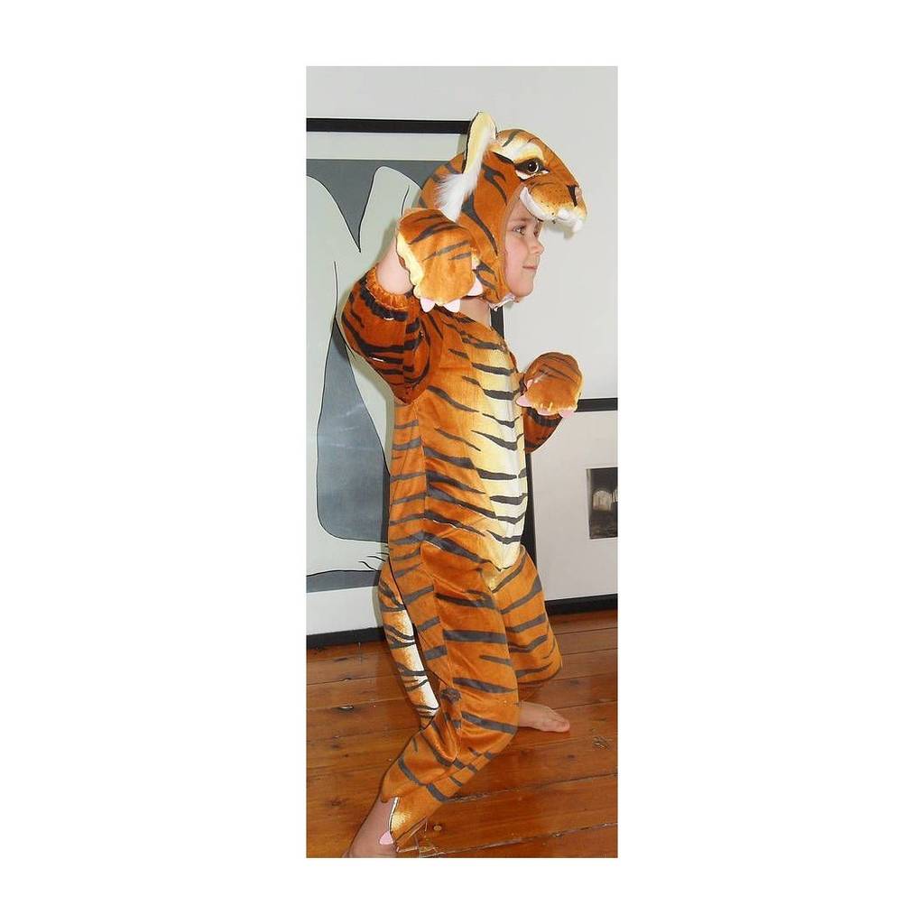 Dragon, Snow Leopard Or Tiger Costumes, 1 of 10
