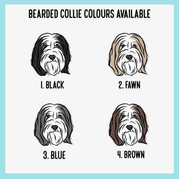 Bearded Collie Dog Breed ID Tag, 3 of 5
