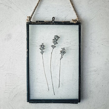 Small Antique Herbarium Frame: Lavender, 2 of 8