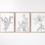Set Of Three Contemporary Floral Art Prints, thumbnail 6 of 8