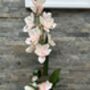 Large Pink Cymbidium Orchid In Gold Bowl, thumbnail 6 of 8