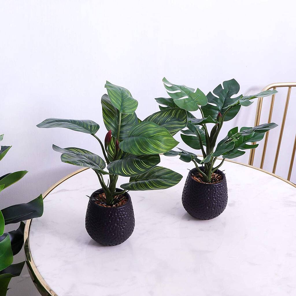 Two Indoor Artificial Plants In Pots By Momentum