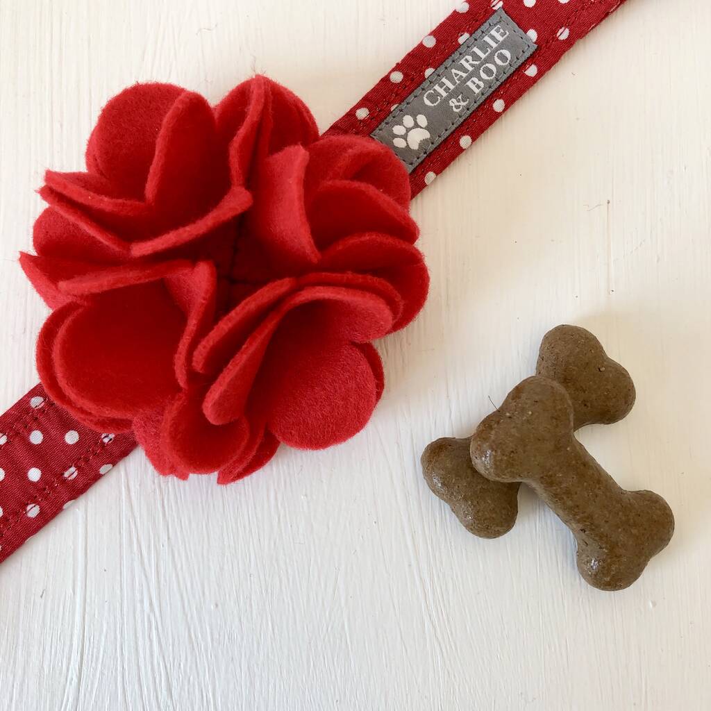 Pink, Red Or Yellow Dog Collar Flower By Charlie and Boo